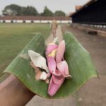 “ട്രി”പ്പ് റ്റു തൃശൂർ